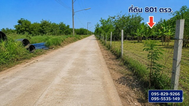 รูป ขายที่ดินถมแล้ว 2-0-01ไร่ โครงการ Wellness City (เวลเนสซิตี้) เพื่อการพักวัยเกษียณ ใกล้ถนนปทุมธานี-สามโคก-เสนา (ทล.3111)อ.บางไทร จ.อยุธยา - รูปที่ 3/8