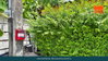 listing thumbnail image 22