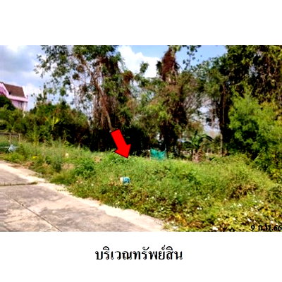 ที่ดิน โรงเรียนนานาชาติเด่นหล้า : Z8Z4747 ขายที่ดิน โครงการ รอยัลปาร์คแลนด์ ตำบล ไทรม้า อำเภอ เมืองนนทบุรี จังหวัด นนทบุรี