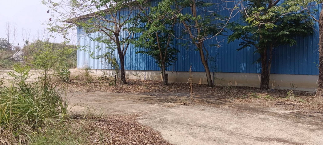 รูป ขาย 50 ไร่ มี4 โกดัง รวมพื้นที่ 8,000 ตรม. มีร.ง. 4 - รูปที่ 8/9