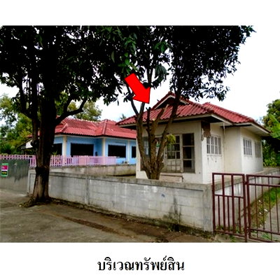 Houses for sale Nong Sua Pathumthani : FOR SALE  HOUSE PROPERTY  881000 BAHT.