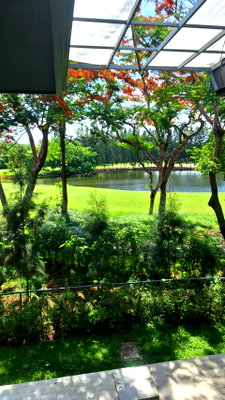 เช่าบ้านเดี่ยว โรงเรียนนวมินทราชินูทิศ สตรีวิทยา 2 : ให้เช่าตึกพร้อมที่ดิน วิวสนามกอล์ฟเเละสวนสวย บรรยากาศพรีเมียม