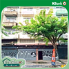 listing thumbnail image 62