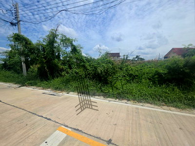 Land for rent Denla British School : For rent: Vacant corner plot of land, 180 square wa, with frontage on two roads. Suitable for a warehouse, restaurant, or cafe. | 93383