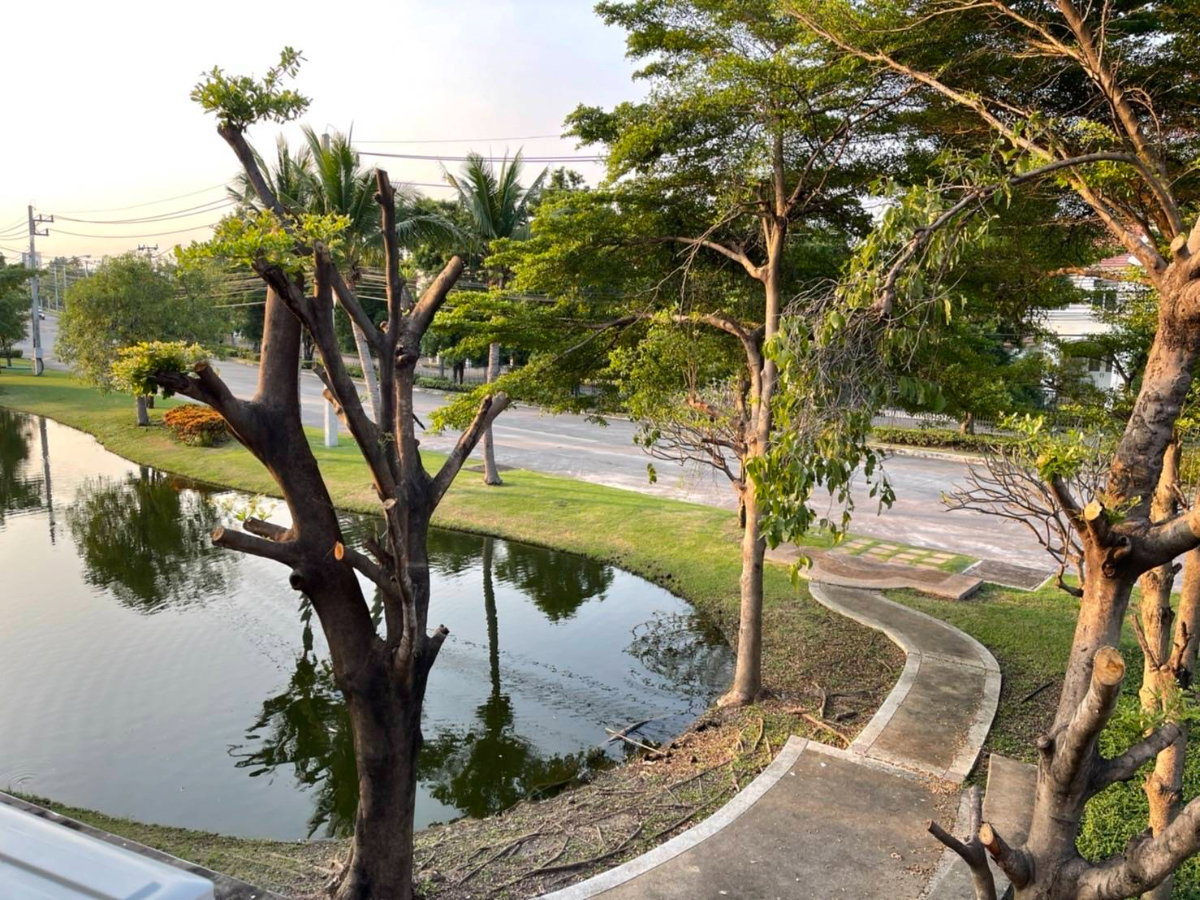 รูป เช่าบ้านโครงการ Golden พระราม2 - รูปที่ 11/11