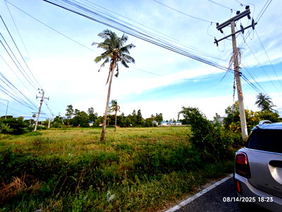 ที่ดิน ปราณบุรี ประจวบคีรีขันธ์ : ขายที่ดิน สวย ติดถนน ห่างจาก ชายหาด ปากน้ำปราณ ปราณบุรี 2 กิโลเมตร จำนวน 4 ไร่