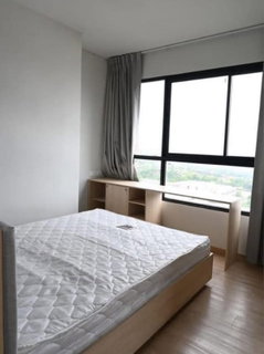 รูปภาพ COMMON TU Condo For Rent / Line : @mintocondo