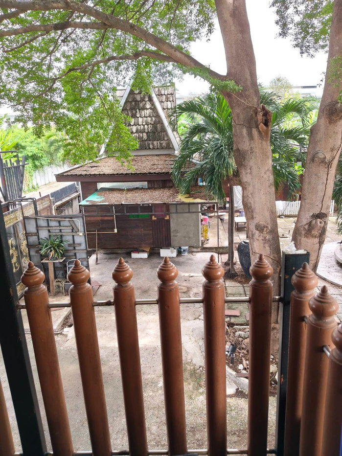 รูป ให้เช่าบ้านเดี่ยวสุขสวัสดิ์26 สไตล์รีสอร์ทมีสวนและสระว่ายน้ำ - รูปที่ 8/15