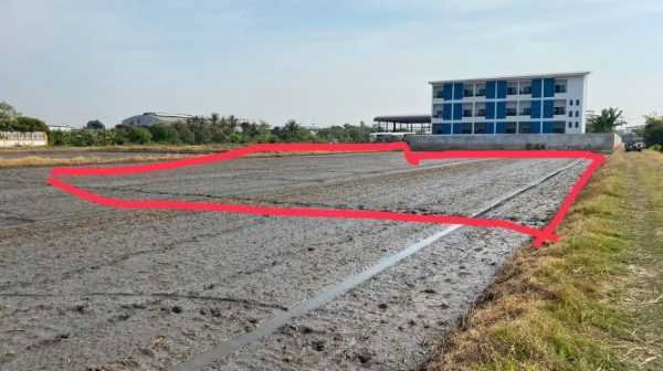 รูป ขายที่ดินเปล่า ลำลูกกา คลองหก ขนาด 2ไร่ (เจ้าของขายเอง) - รูปที่ 1/5