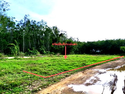 Land for sale Khlong Hoi Khong Songkhla : LAND 461.5 Sq.w. Khlong Hoi Khong Songkhla for 1.3M