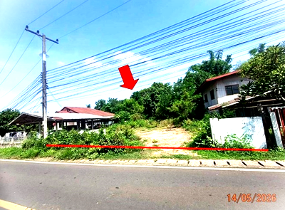 ขายที่ดิน : ที่ดินว่างเปล่า 104 ตร.วา ชุมชนบ้านม่วง นาเยีย อุบลราชธานี 520,000