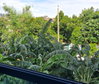 listing thumbnail image 30