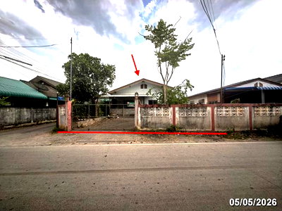บ้านเดี่ยว สันป่าตอง เชียงใหม่ : บ้านเดี่ยว 99 ตร.วา สันป่าตอง เชียงใหม่ 1.2M