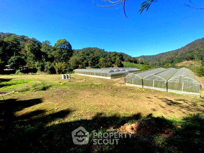 Land for sale Chiang Mai : Land For Sale In Thep Sadet, Doi Saket, Chiang Mai (ID 3026486)