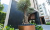 listing thumbnail image 14