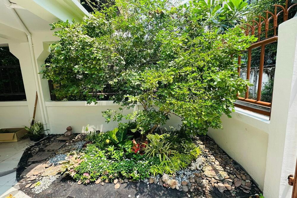 รูป เช่าบ้านเดี่ยว !!  House in Phromphong, 5 ห้องนอน, 5 ห้องน้ำ, 4 ชั้น, มีสวนขนาดเล็ก, มีที่จอด 2-3 คัน !! Code C20230109716 แต่งครบ, พร้อมเข้าอยู่ 📣📣 - รูปที่ 11/13