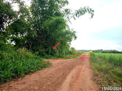 ขายที่ดิน : ที่ดินว่างเปล่า 6305 ตร.วา บางกระทุ่ม พิษณุโลก 1.4M