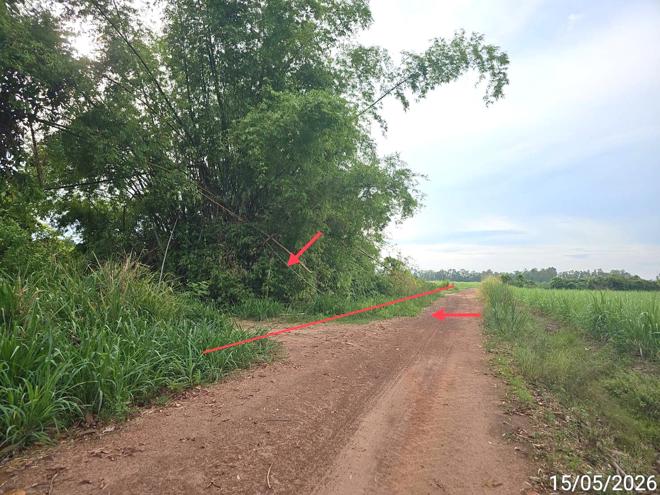 รูป ที่ดินว่างเปล่า 6305 ตร.วา บางกระทุ่ม พิษณุโลก 1.4M - รูปที่ 1/15