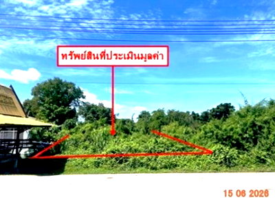 ขายที่ดิน : ที่ดินว่างเปล่า 907 ตร.วา บางกระทุ่ม พิษณุโลก 4.5M