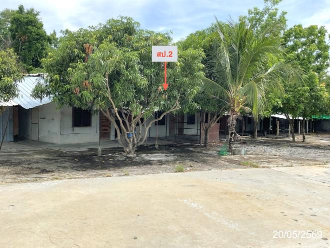 รูป อาคารสำนักงาน 4435 ตร.วา บ้านบึง ชลบุรี 44.6M - รูปที่ 7/41