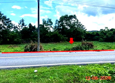 ขายที่ดิน : ที่ดินว่างเปล่า 231 ตร.วา รือเสาะ นราธิวาส 3.7M