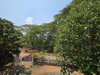 listing thumbnail image 14