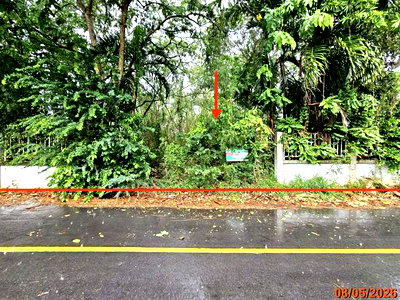 Land for sale Sung Noen Nakhon Ratchasima : LAND 456 Sq.w. Sung Noen Nakhon Ratchasima for 3.1M