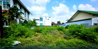 Land for sale ปุณณวิถี 21 : Land for Sale – Sukhumvit 101, Punnawithi Soi 52, Bangkok