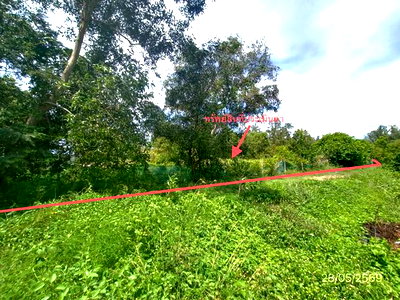 LAND 291.3 Sq.w. Sathing Phra Songkhla for 826,000
