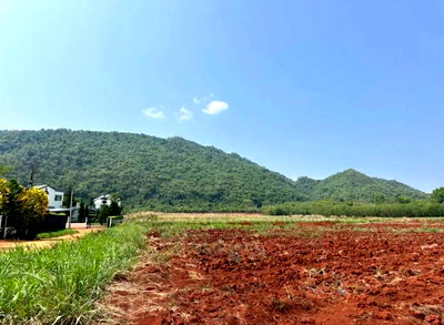 ขายที่ดิน : ขายที่ดินเขาวง หนองน้ำแดง เขาใหญ่ ปากช่อง 1.5ไร่ วิวเขาสวยมาก ถนนลาดยางสาธารณะ เดินทางสะดวก ใกล้ธนะรัชต์ มอเตอร์เวย์M6 ที่สูง ไม่เปลี่ยว บ้านตากอากาศ