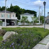listing thumbnail image 6