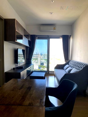 Condos for rent : 🎉 For Rent Condo WHIZDOM CONNECT SUKHUMVIT Building 1, Floor 21,1 BED PLUS, Room size 42.00 sqm
