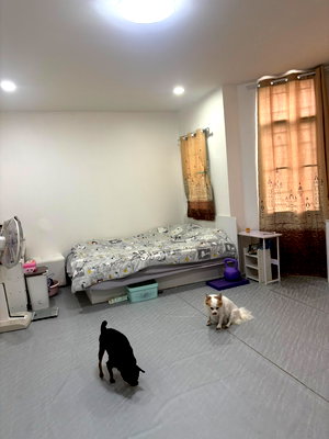 Townhouses for sale : Sale! Townhome The Connect Kingkaew-Suwannabhumi