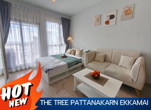  ห้องว่างจริง นัดชมได้เลย ✨🔥THE TREE Pattanakarn-Ekkamai🔥✨ 🚝 nearby ARL RAMKHAMHAENG เฟอร์ครบ พร้อมอยู่ สนใจติดต่อ Line Official: @promptyou1