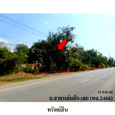 ขายโรงงาน : Z3A1219 ขายโกดัง ตำบล สักหลง อำเภอ หล่มสัก จังหวัด เพชรบูรณ์