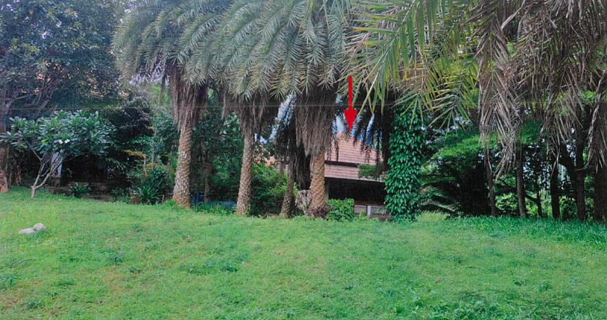 picture LAND 1843 Sq.w. Hang Dong Chiang Mai for 18.6M - 9/16