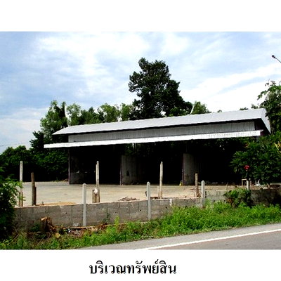 ขายโรงงาน : Z3A0466 ขายโกดัง ตำบล พันชาลี อำเภอ วังทอง จังหวัด พิษณุโลก
