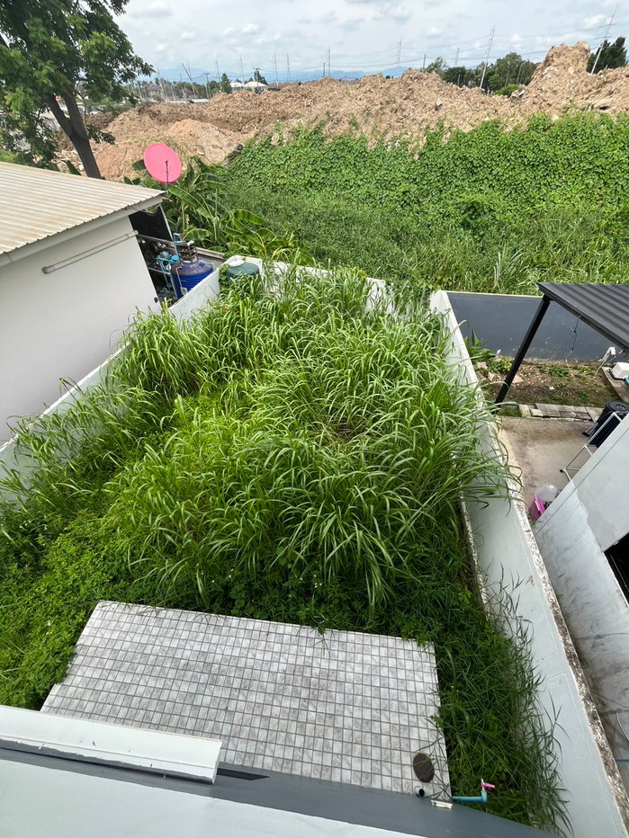 รูป ขายบ้านเดี่ยว 2 ชั้น บ้านพร้อมอยู่ ทำเลชานเมือง บรรยากาศเงียบสงบ เดินทางสะดวก ใกล้ตลาด ห้างสรรพสินค้า และโรงเรียนนานาชาติ  #C5MG100781 - รูปที่ 19/22