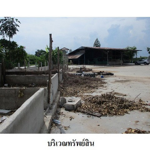 รูป Z3A0466 ขายโกดัง ตำบล พันชาลี อำเภอ วังทอง จังหวัด พิษณุโลก - รูปที่ 5/8