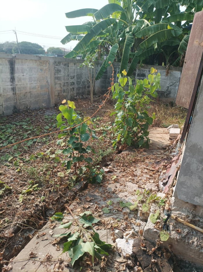 picture House for Sale in Varocha 5 Village  A charming family home on a spacious 107 Sq.Wah land plot, conveniently located near Bang Phli Industrial Estate  - 13/17
