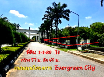 ขายที่ดิน : 《ยินดีรับนายหน้า》ขายที่ดิน 1-1-80ไร่ ติดถนนเมนโครงการ เอเวอร์กรีน ซิตี้ ใกล้รถไฟฟ้าMRT หลักสอง เดอะมอลล์บางแค