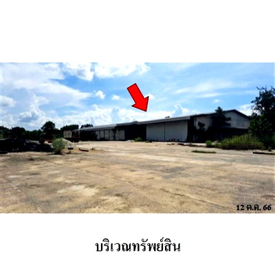 ขายโรงงาน : Z3A0757 ขายโกดัง ตำบล วังไทร อำเภอ คลองขลุง จังหวัด กำแพงเพชร
