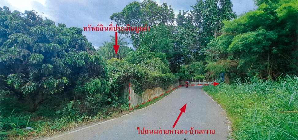 picture LAND 1843 Sq.w. Hang Dong Chiang Mai for 18.6M - 12/16