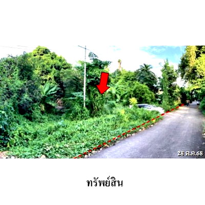 ที่ดิน ม.นเรศวร : ZHL0890 ขายที่ดินเปล่า ตำบล ท่าโพธิ์ อำเภอ เมืองพิษณุโลก จังหวัด พิษณุโลก