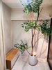 listing thumbnail image 2
