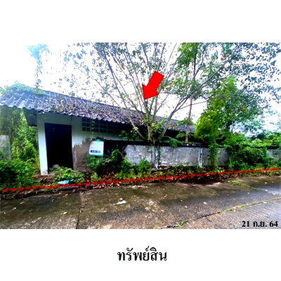 ขายโรงงาน : Z8Z3200 ขายโกดัง โครงการ ล้านนาคันทรีปาร์ค ตำบล ศาลา อำเภอ เกาะคา จังหวัด ลำปาง