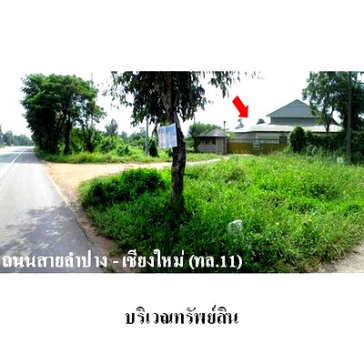 ขายโรงงาน : Z8Z2979 ขายโกดัง ตำบล เวียงตาล อำเภอ ห้างฉัตร จังหวัด ลำปาง