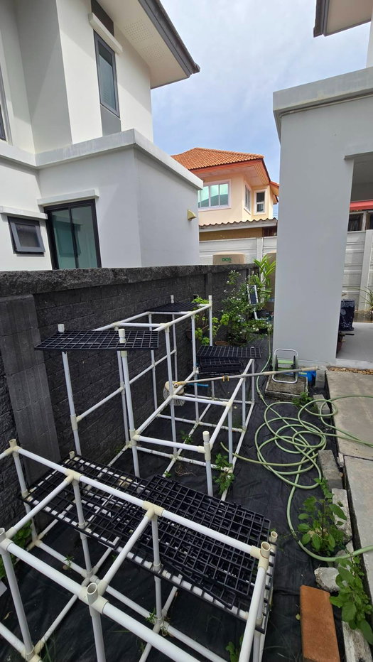 รูป ขายบ้านเดี่ยว บริทาเนียม กม.12 ซอยหลวงพ่อโต - รูปที่ 9/11