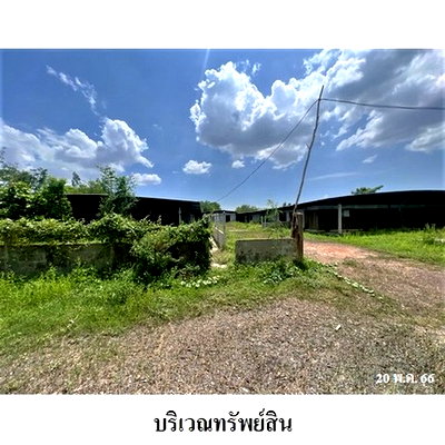 ขายโรงงาน : Z3A0711 ขายโกดังเลี้ยงสัตว์ ตำบล เขาทราย อำเภอ ทับคล้อ จังหวัด พิจิตร