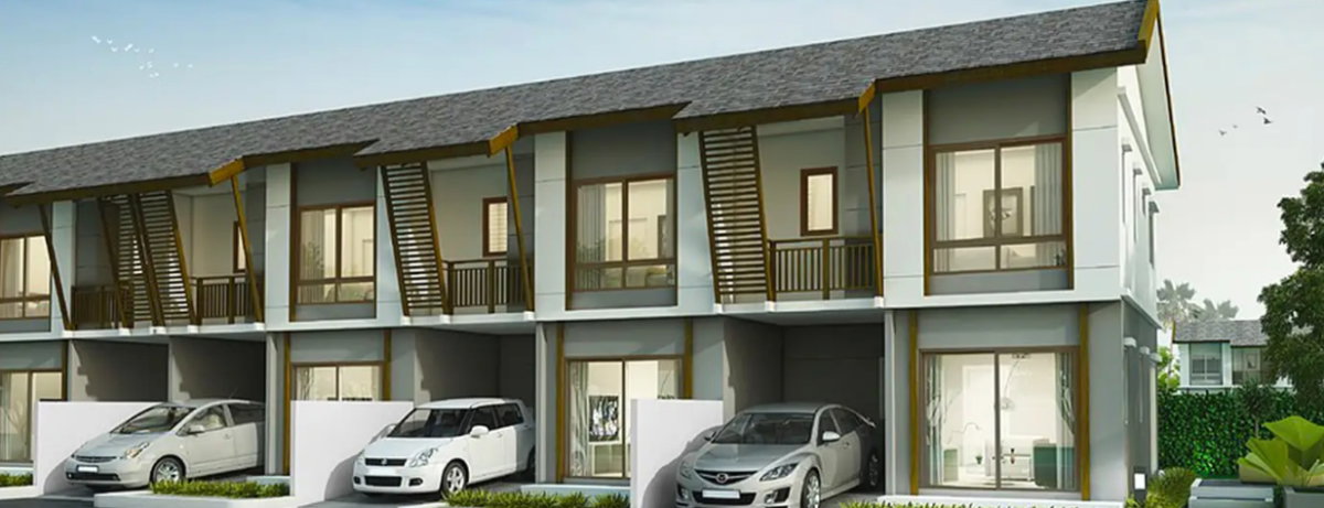 รูปภาพPinus